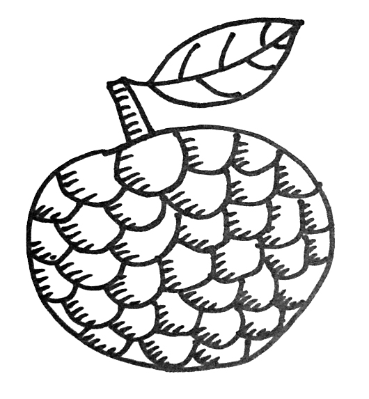 Custard Apple Drawing | Free download on ClipArtMag