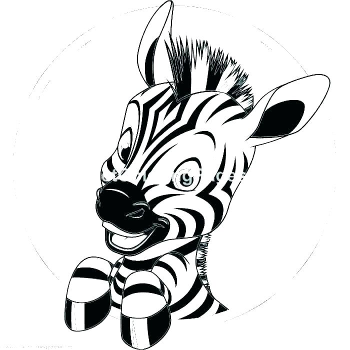 Cute Baby Zebra Drawing | Free download on ClipArtMag