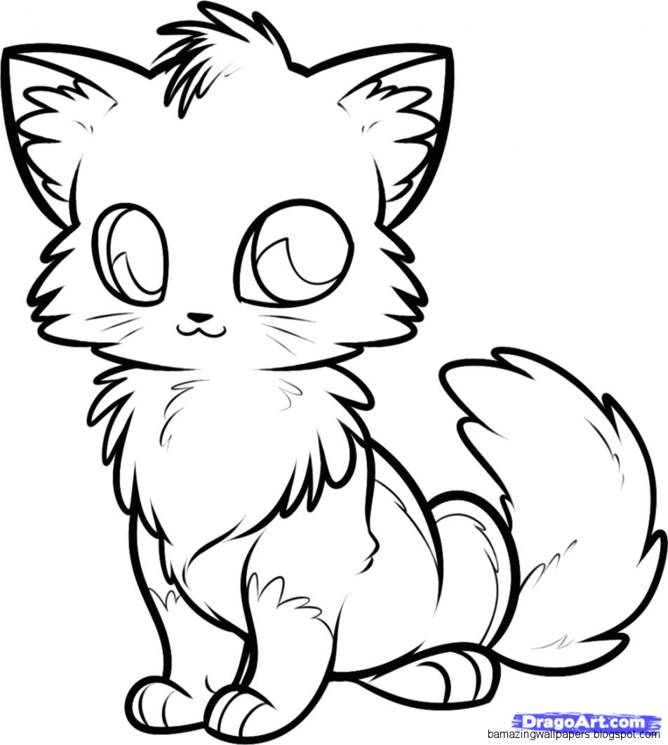 Cute Kitten Drawing | Free download on ClipArtMag