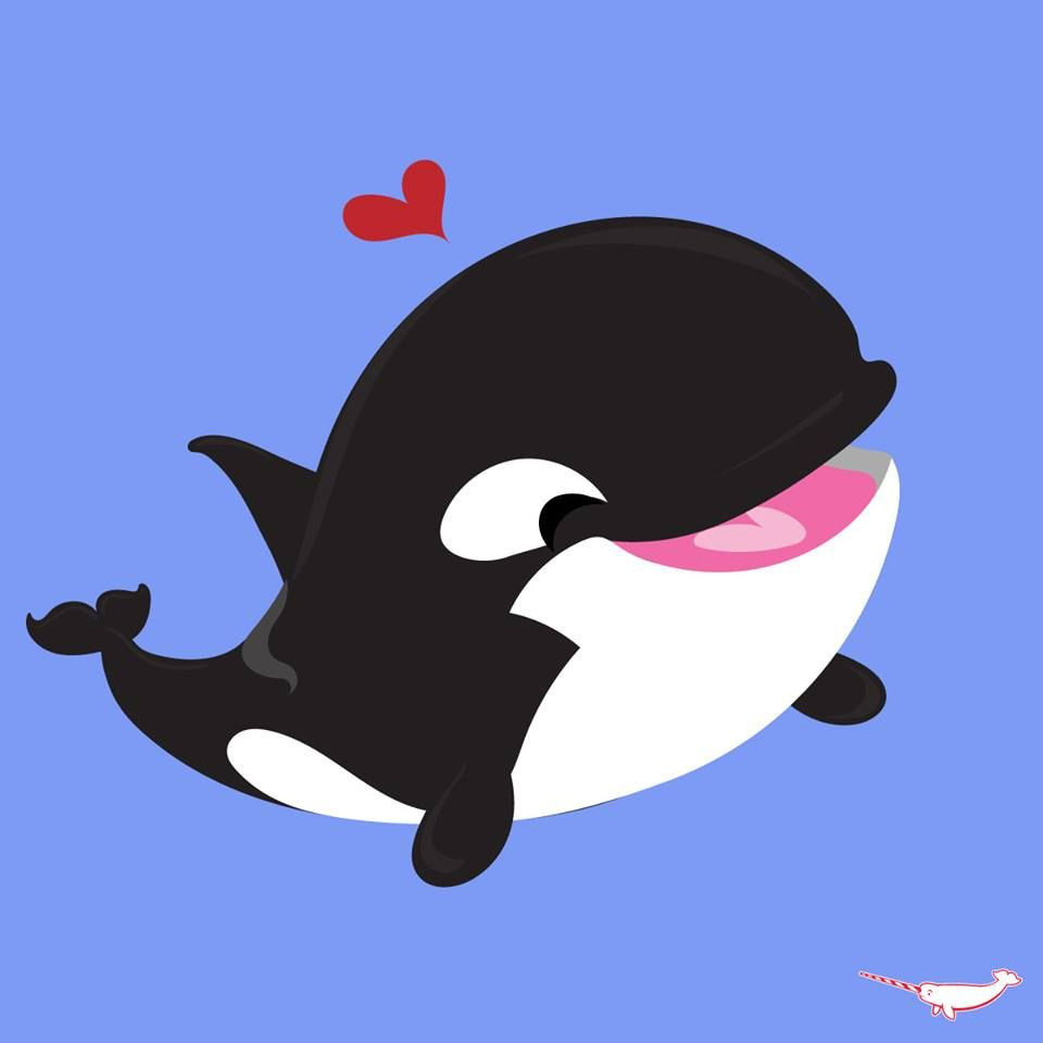 Cute Orca Drawing Free download on ClipArtMag