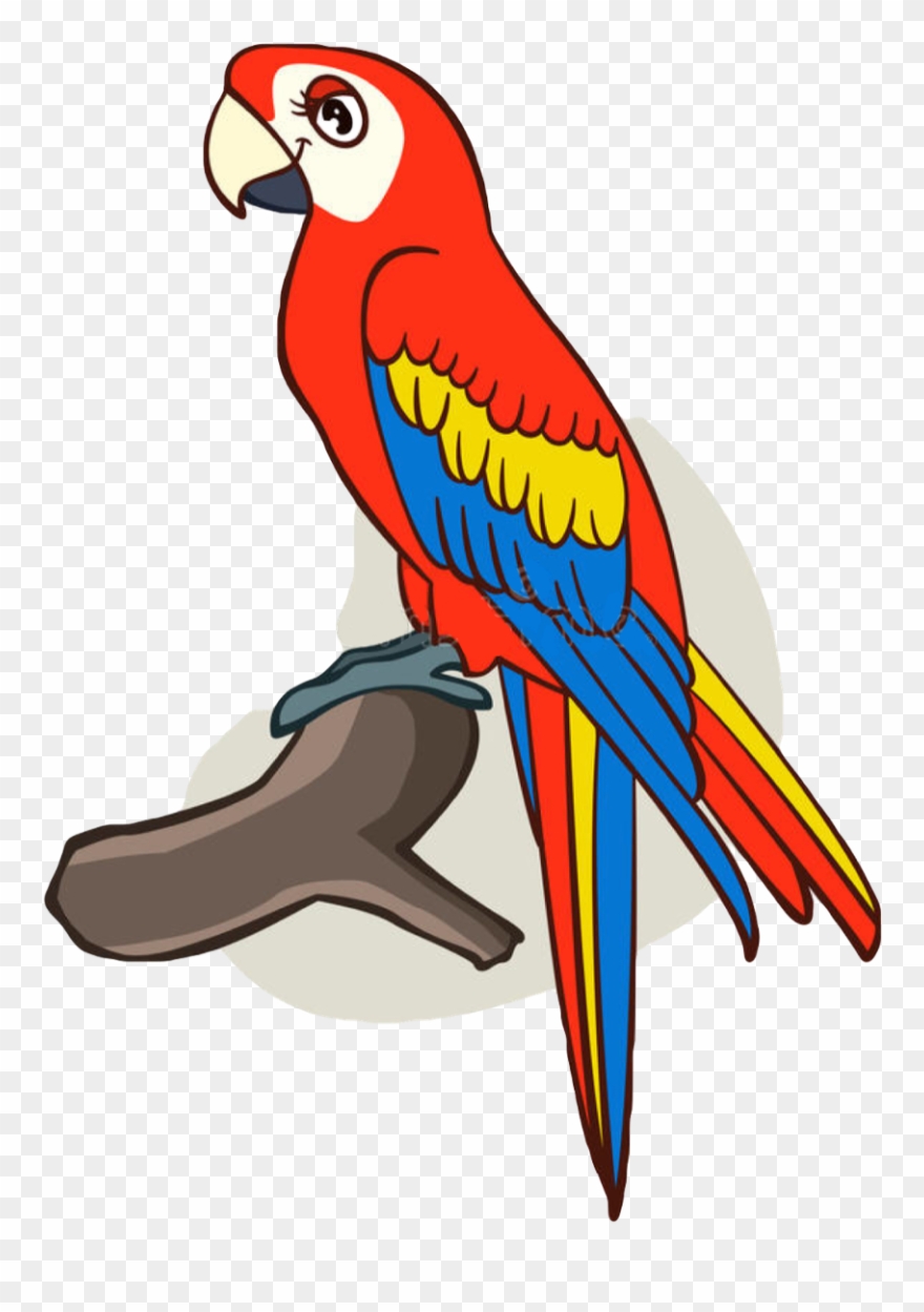 Cute Parrot Drawing | Free download on ClipArtMag