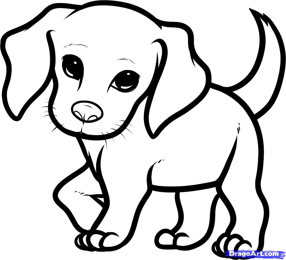 Cute Puppy Drawing Free download on ClipArtMag
