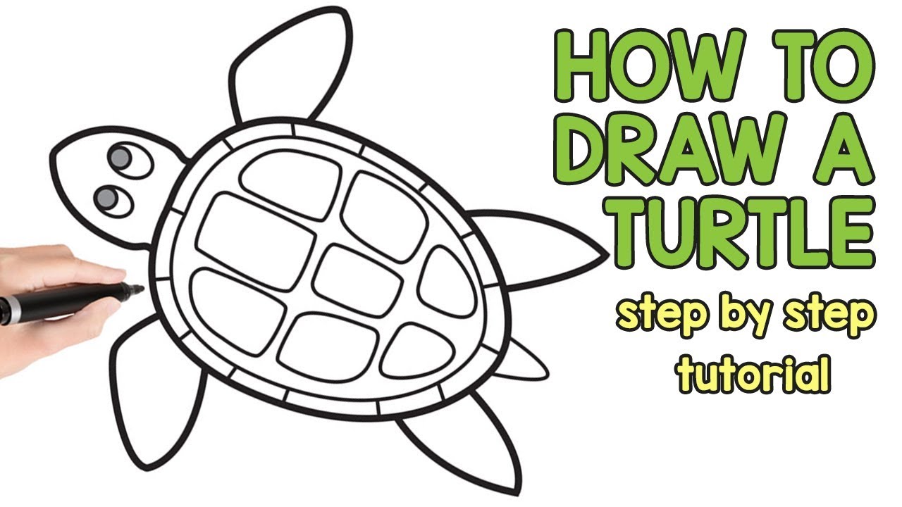 cute-sea-turtle-drawing-free-download-on-clipartmag