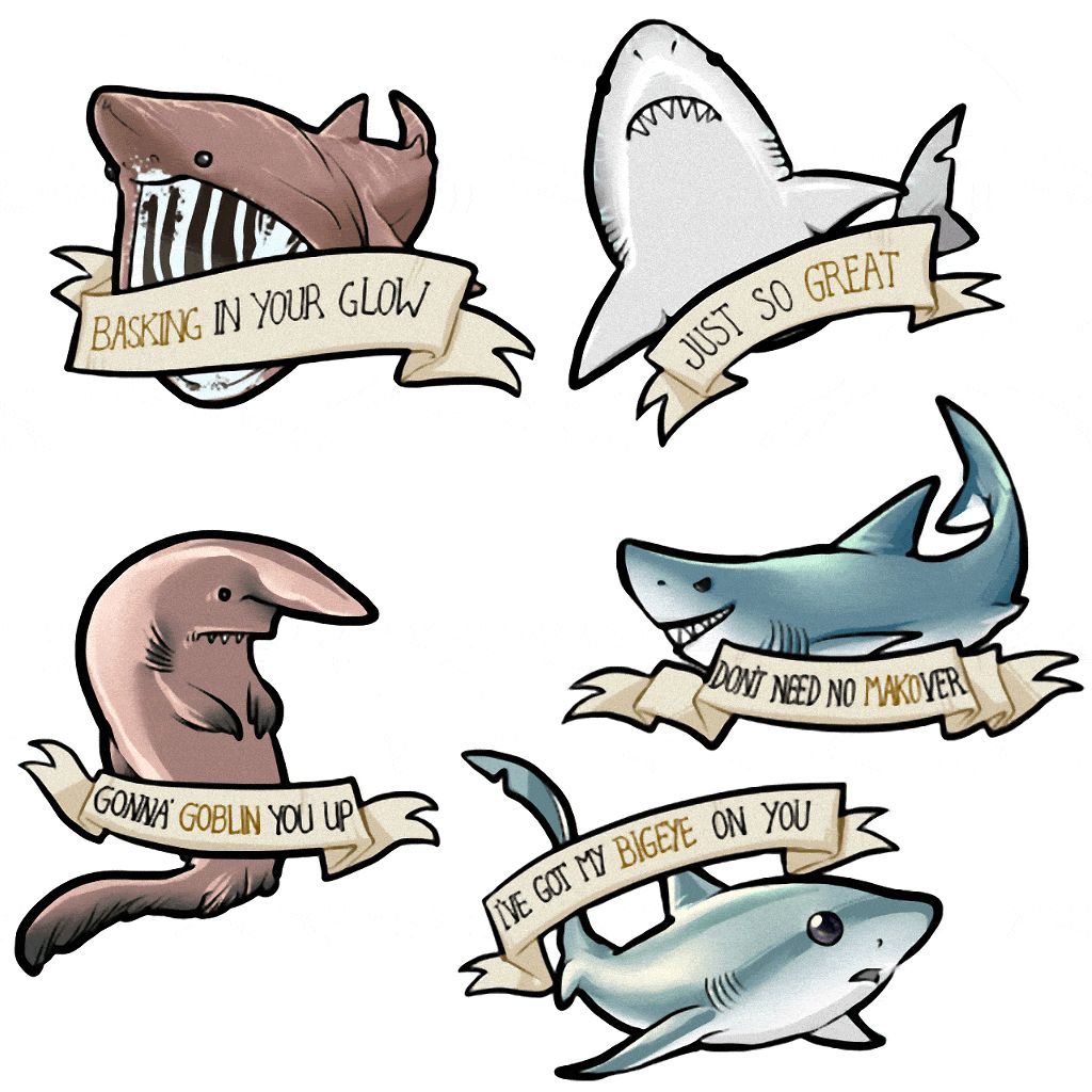 Cute Shark Drawing | Free download on ClipArtMag