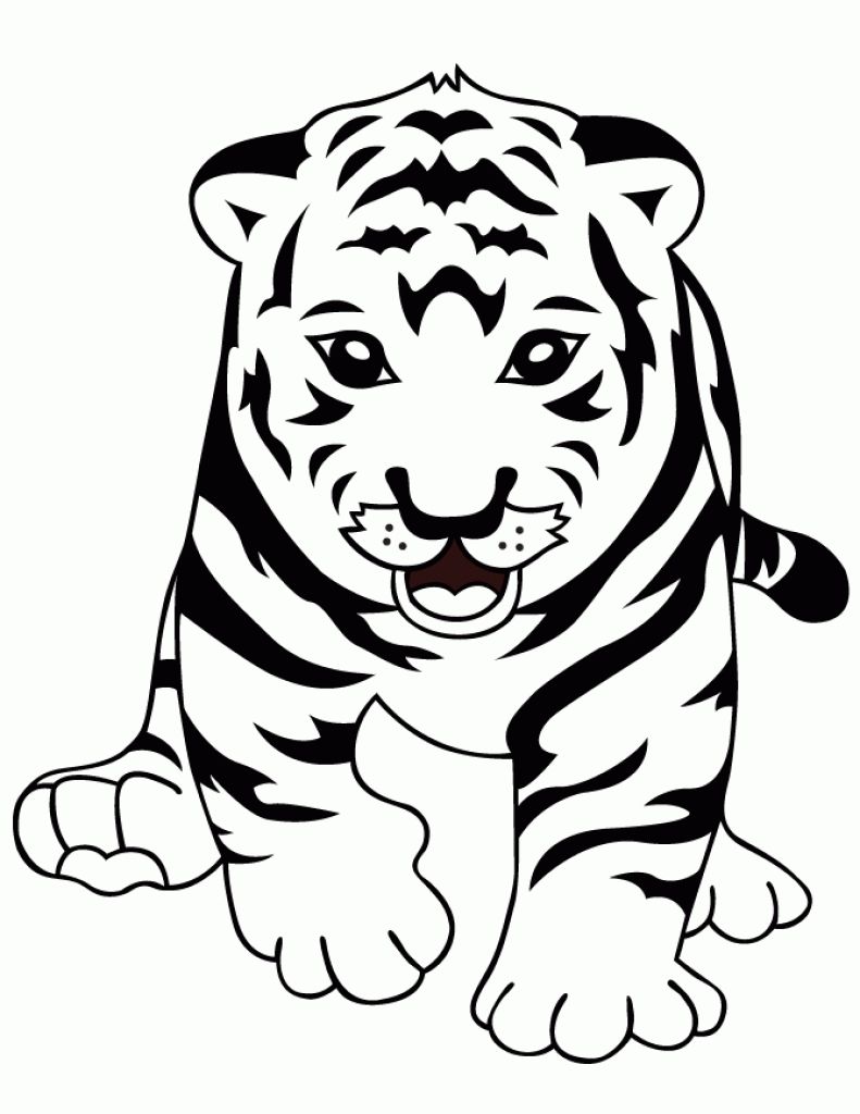 Cute Tiger Drawing | Free download on ClipArtMag