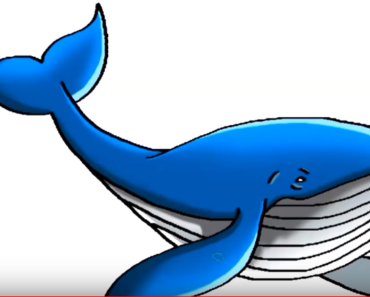 Cute Whale Drawing | Free download on ClipArtMag