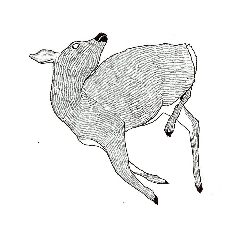 Dead Animal Drawing Free download on ClipArtMag