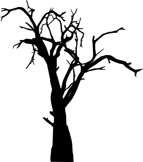 Dead Oak Tree Drawing | Free download on ClipArtMag