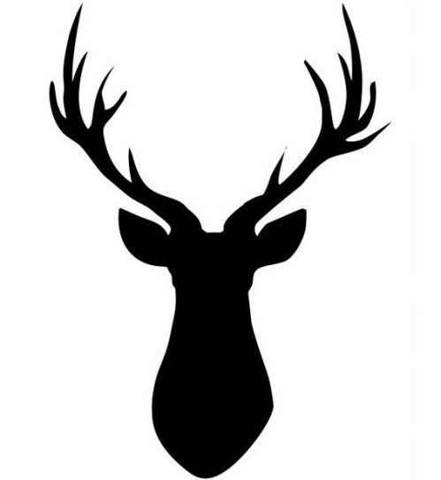 Deer Drawing Tutorial | Free download on ClipArtMag