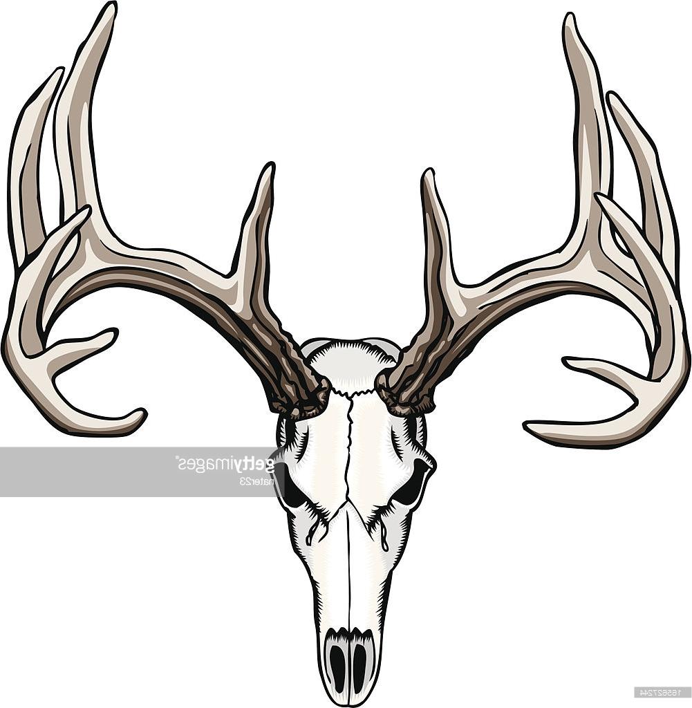 Deer Head Drawing Easy | Free download on ClipArtMag