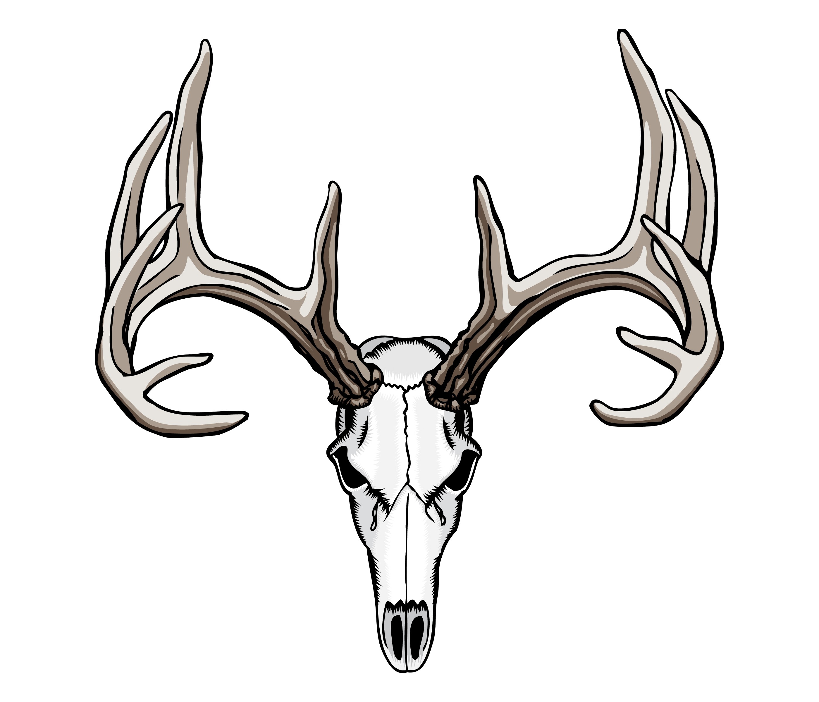 Deer Head Outline Drawing | Free download on ClipArtMag