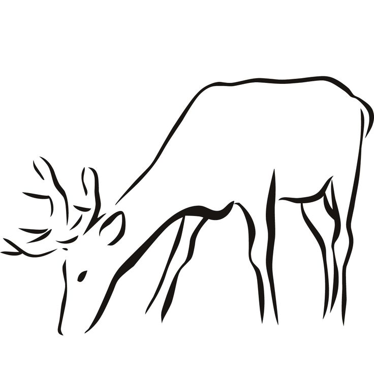 Deer Line Drawing | Free download on ClipArtMag
