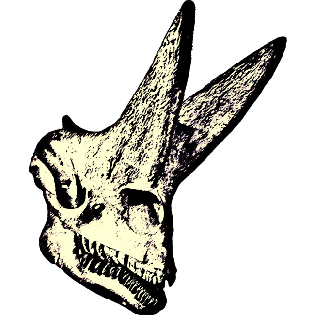 Dinosaur Skull Drawing | Free download on ClipArtMag