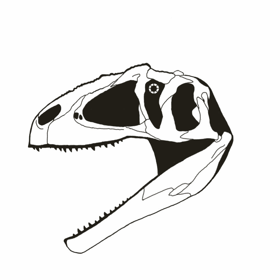 Dinosaur Skull Drawing | Free download on ClipArtMag