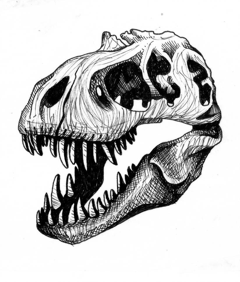 Dinosaur Skull Drawing | Free download on ClipArtMag