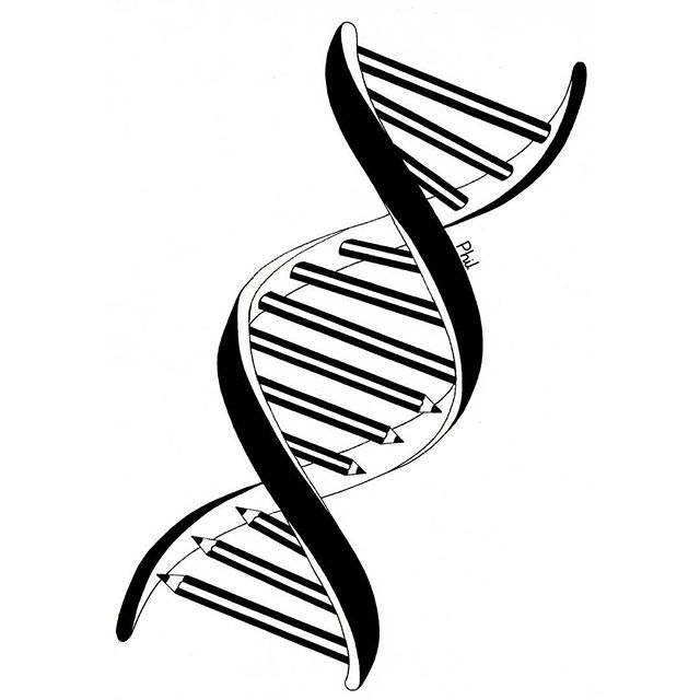 Dna Drawing Free download on ClipArtMag