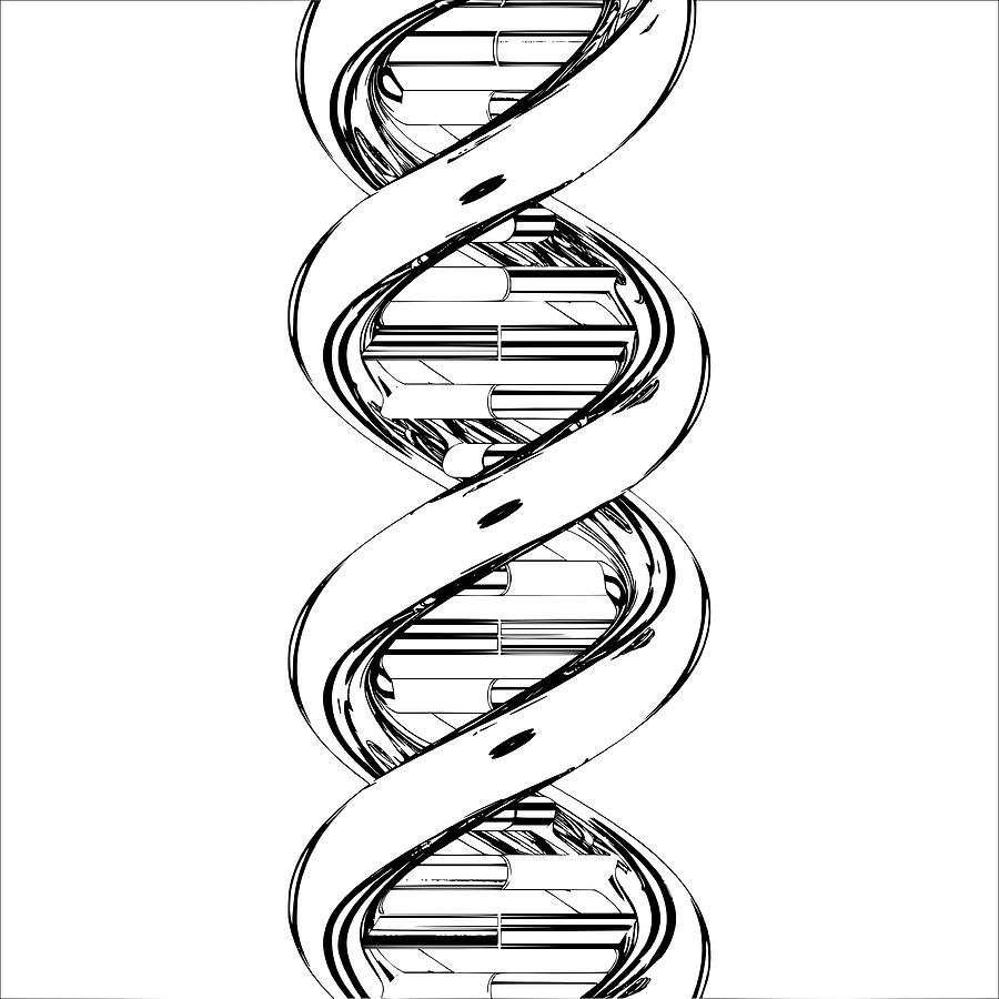 Dna Molecule Drawing Free download on ClipArtMag