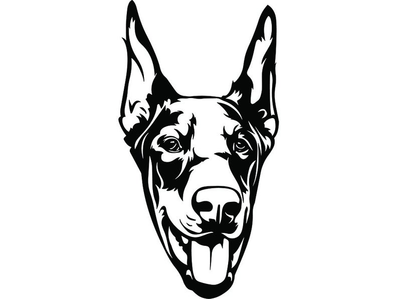 Collection of Doberman clipart | Free download best Doberman clipart on