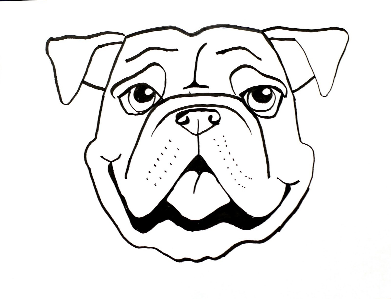 Dog Face Drawing Free download on ClipArtMag