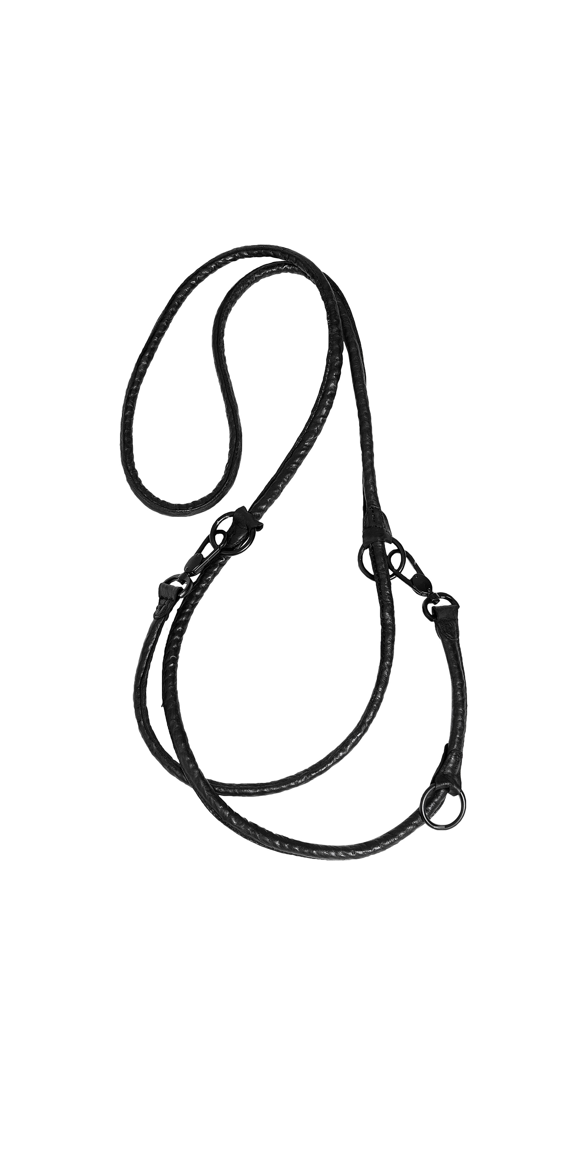 Dog Leash Drawing Free download on ClipArtMag