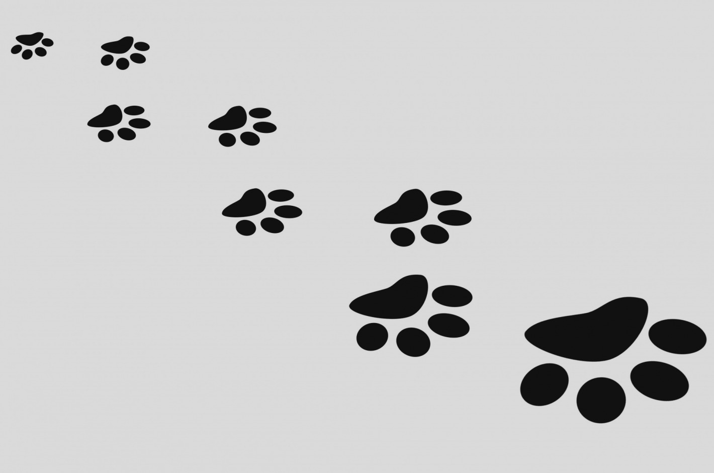 Dog Paw Print Drawing Free download on ClipArtMag