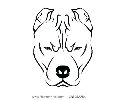 Drawing Pictures Of Pitbulls | Free download on ClipArtMag