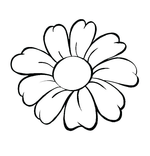 Drawings Of Flowers With Color Free Download On Clipartmag