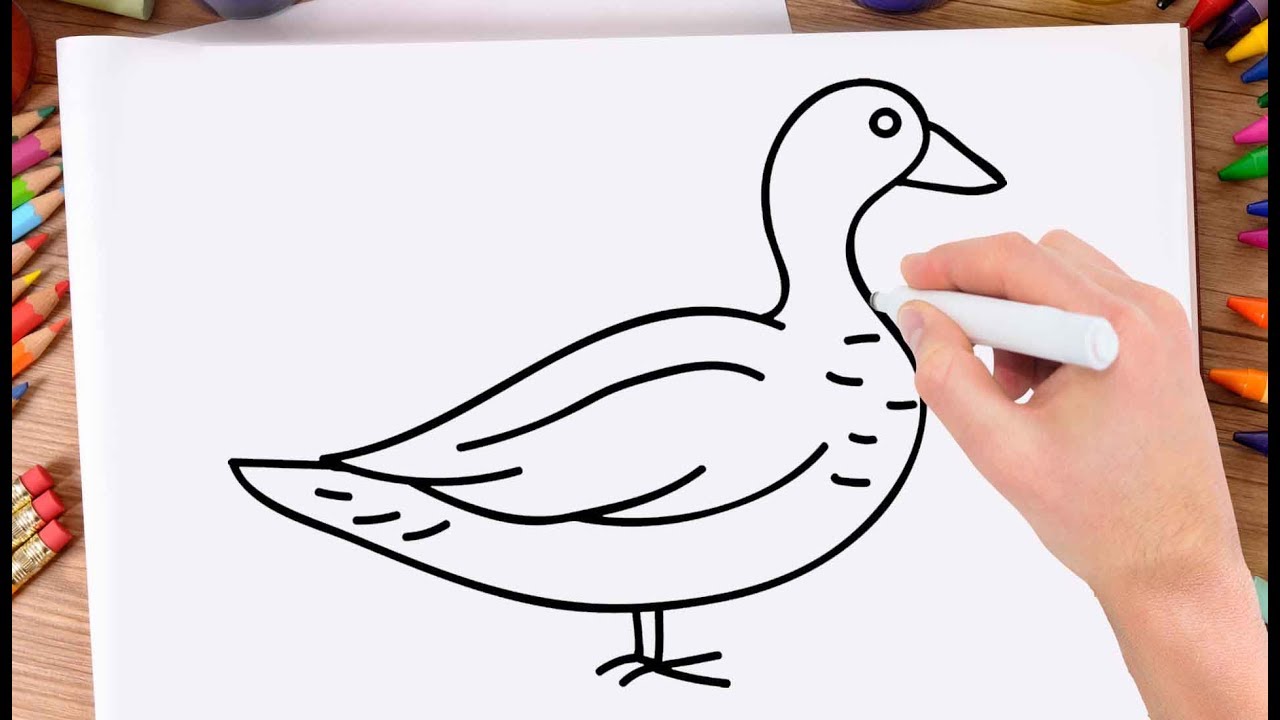New Easy Sketch Drawings Duck with simple drawing