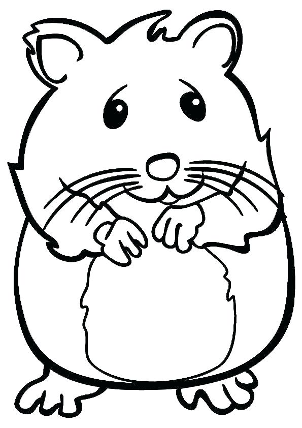 Dwarf Hamster Drawing | Free download on ClipArtMag