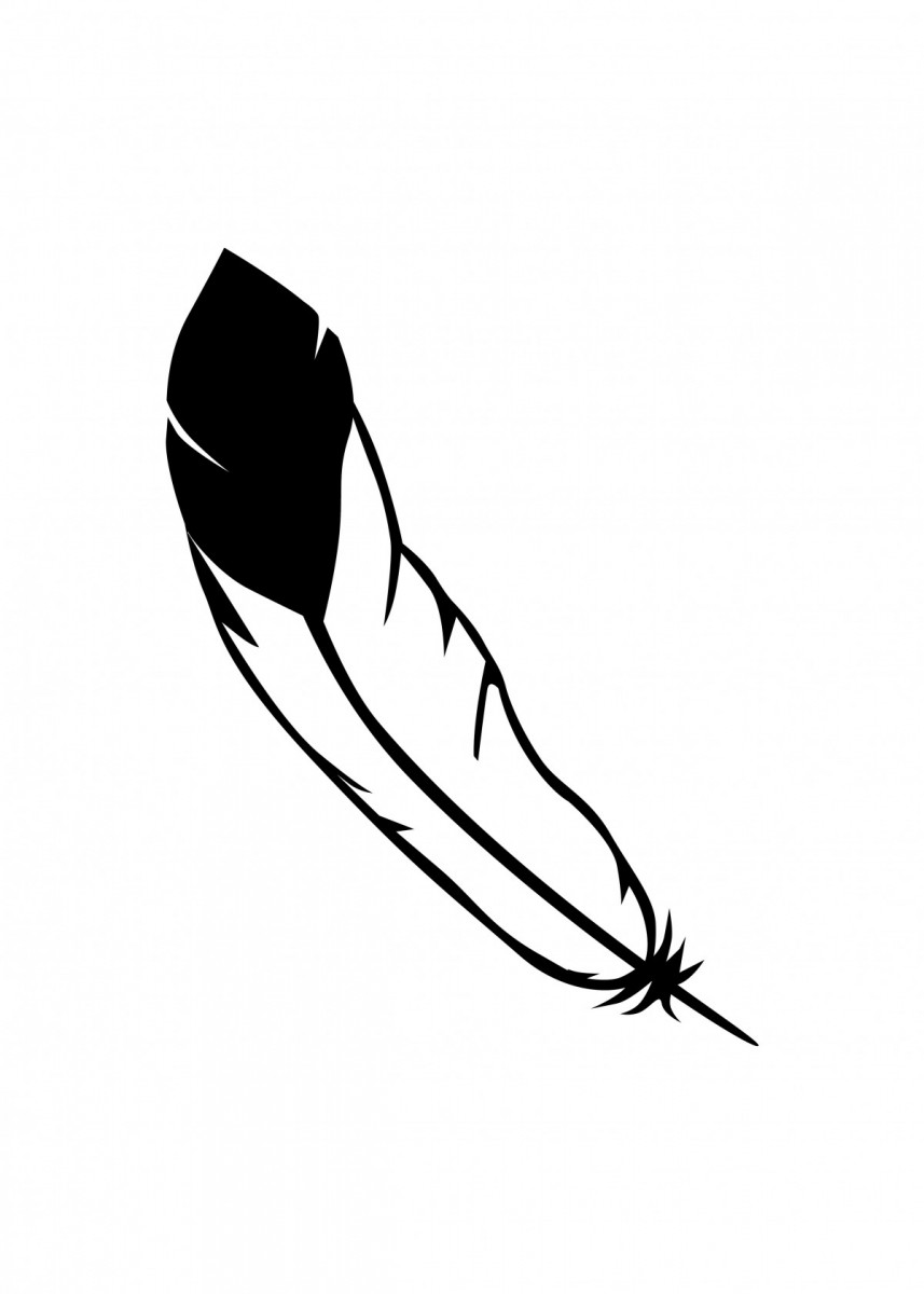 Eagle Feather Drawing Free download on ClipArtMag