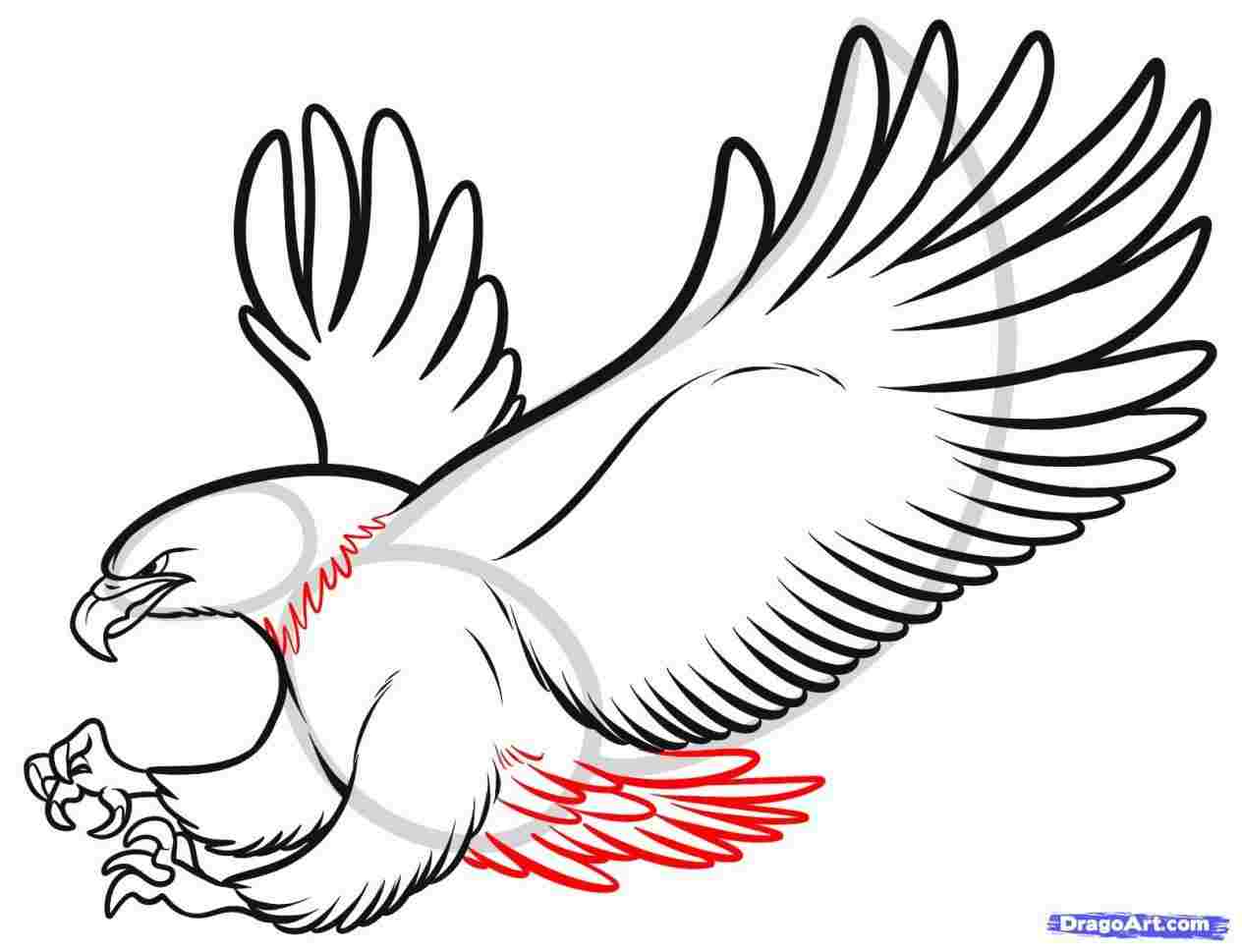 Eagle In Flight Drawing Free download on ClipArtMag