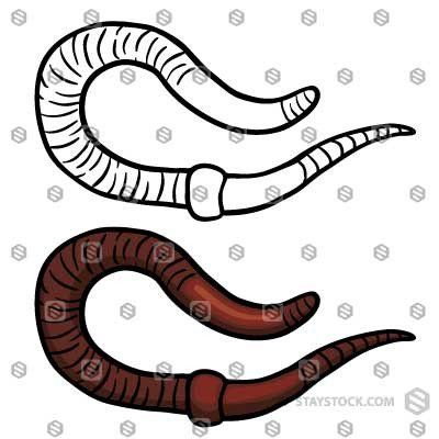 Earthworm Drawing | Free download on ClipArtMag