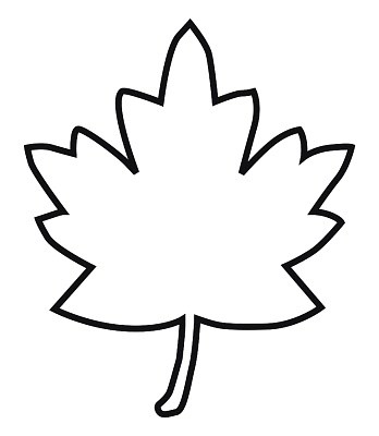 Easy Maple Leaf Drawing | Free download on ClipArtMag