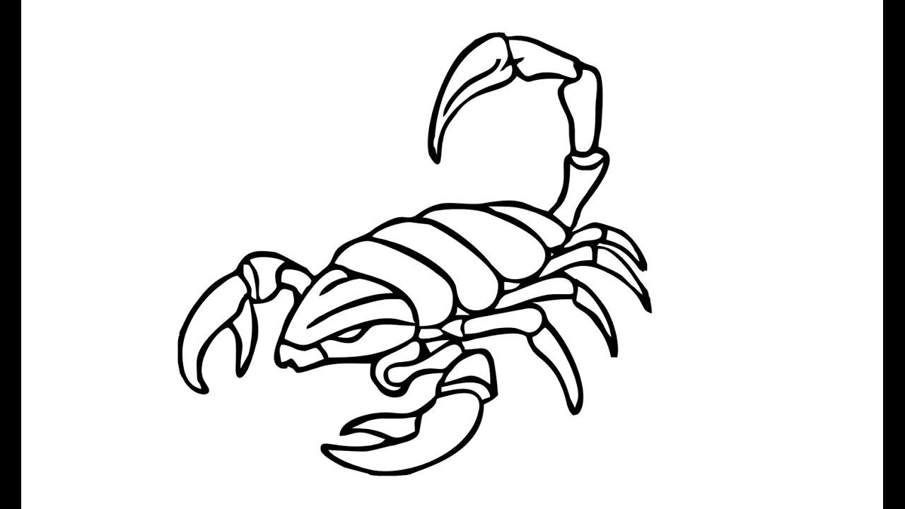 Easy Scorpion Drawing | Free download on ClipArtMag