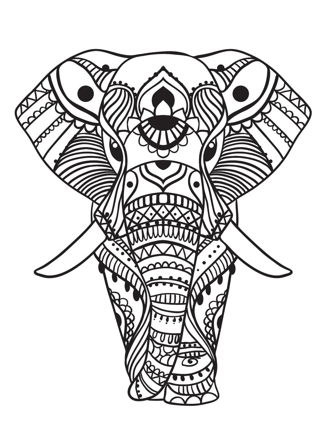 Elephant Head Drawing | Free download on ClipArtMag