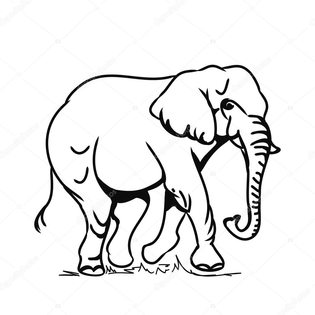 Elephant Profile Drawing | Free download on ClipArtMag
