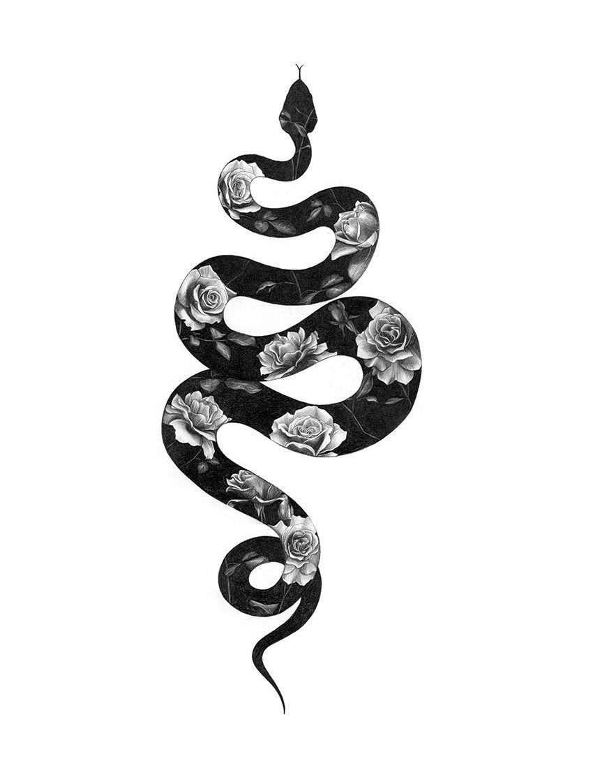 Evil Snake Drawing | Free download on ClipArtMag