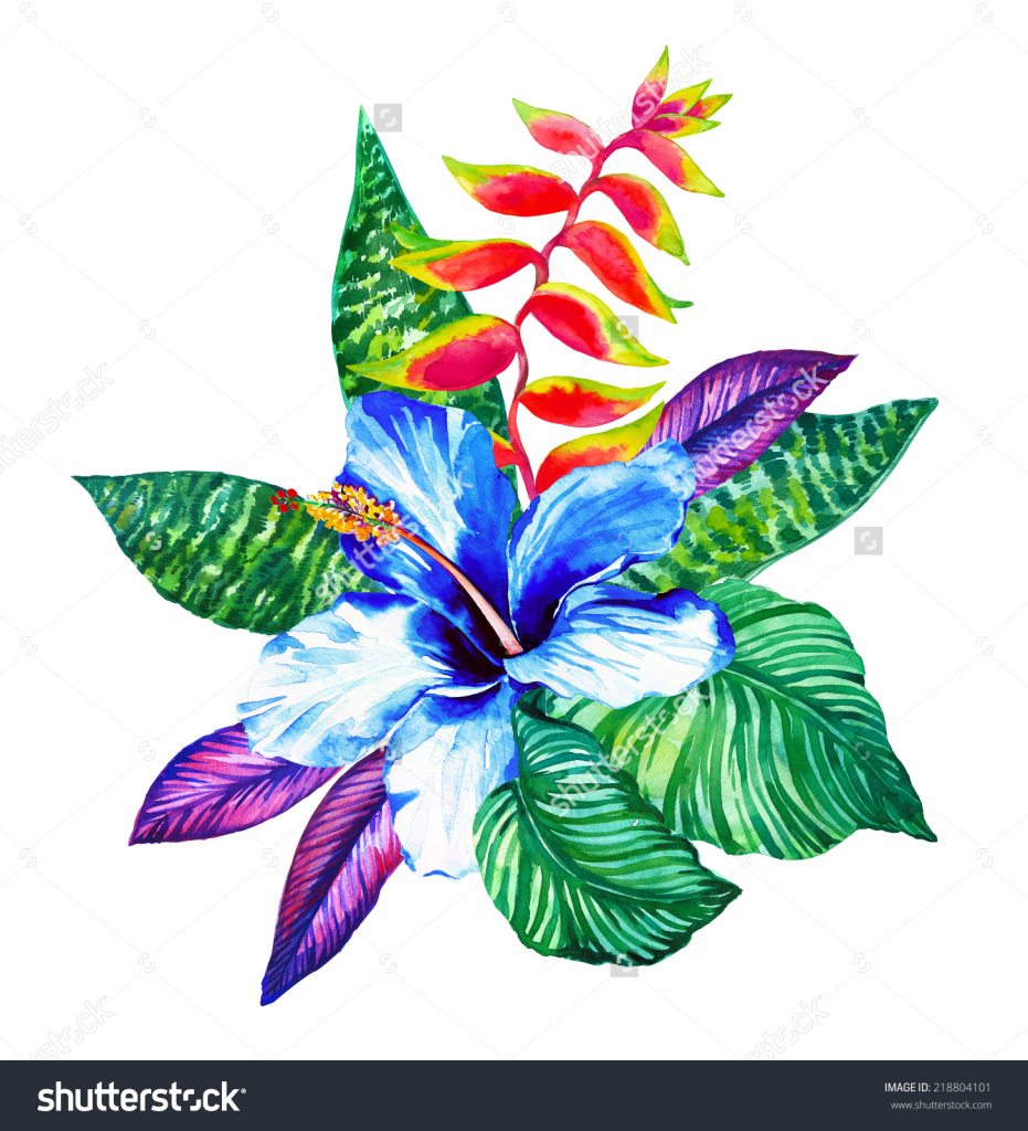 Exotic Flower Drawings Free download on ClipArtMag