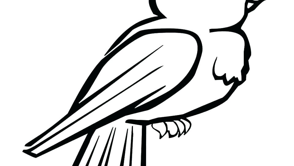 Falcon Bird Drawing | Free download on ClipArtMag