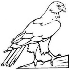 lego falcon coloring pages