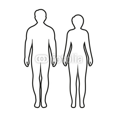 Female Human Body Outline Drawing | Free download on ClipArtMag
