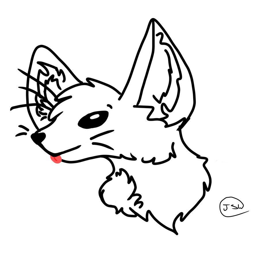 Fennec Fox Drawing 