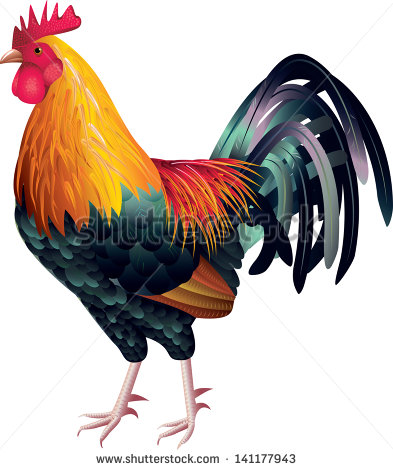 Fighting Rooster Drawings | Free download on ClipArtMag