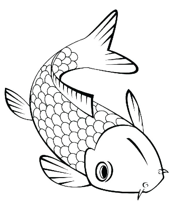 Collection of Fish outline clipart | Free download best Fish outline