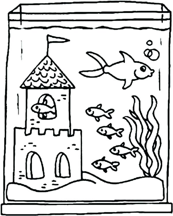 Fish Tank Easy Simple Underwater Drawing krkfm