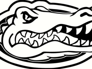 Florida Gators Drawing 