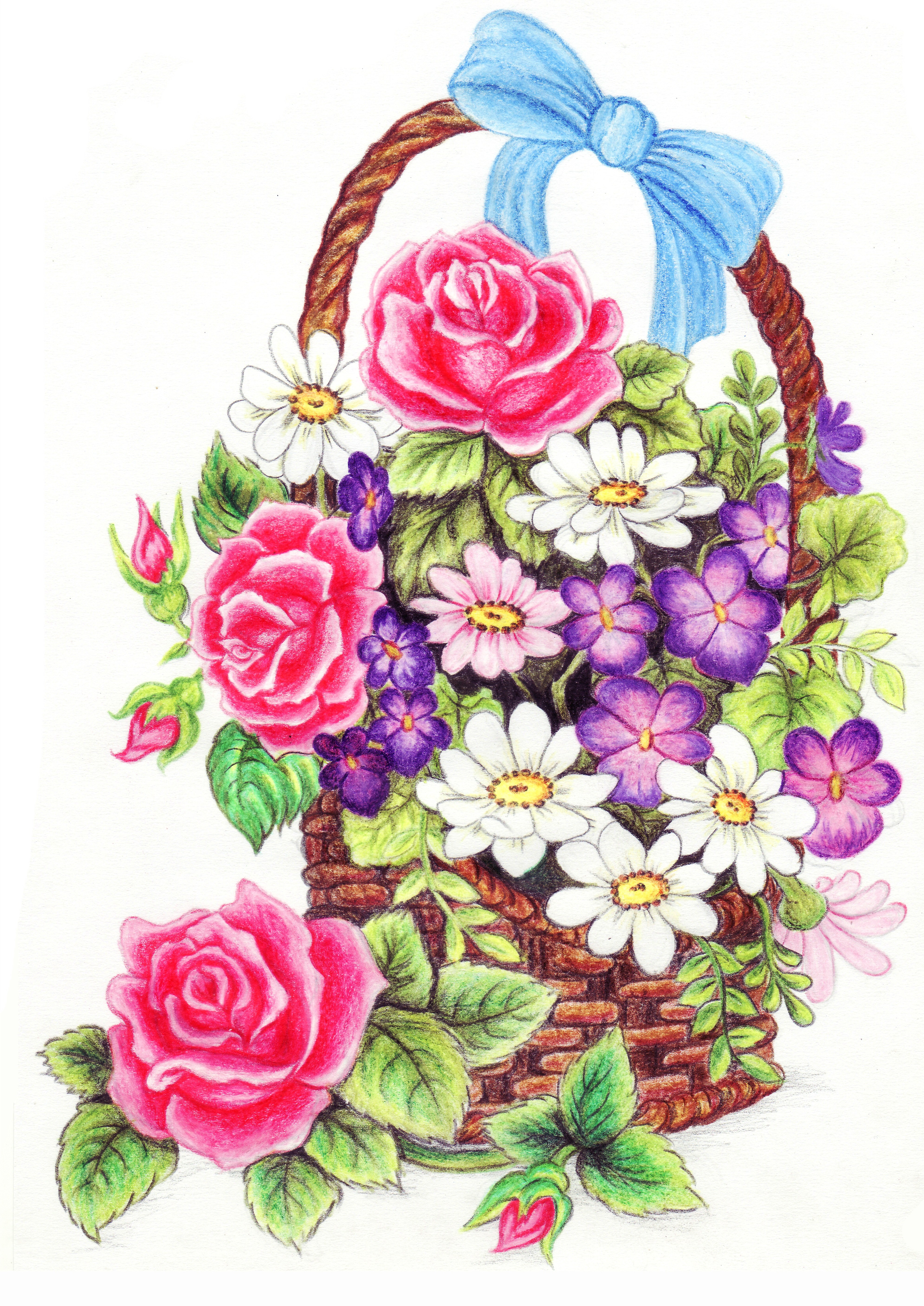 Flower Colour Pencil Drawing | Free download on ClipArtMag