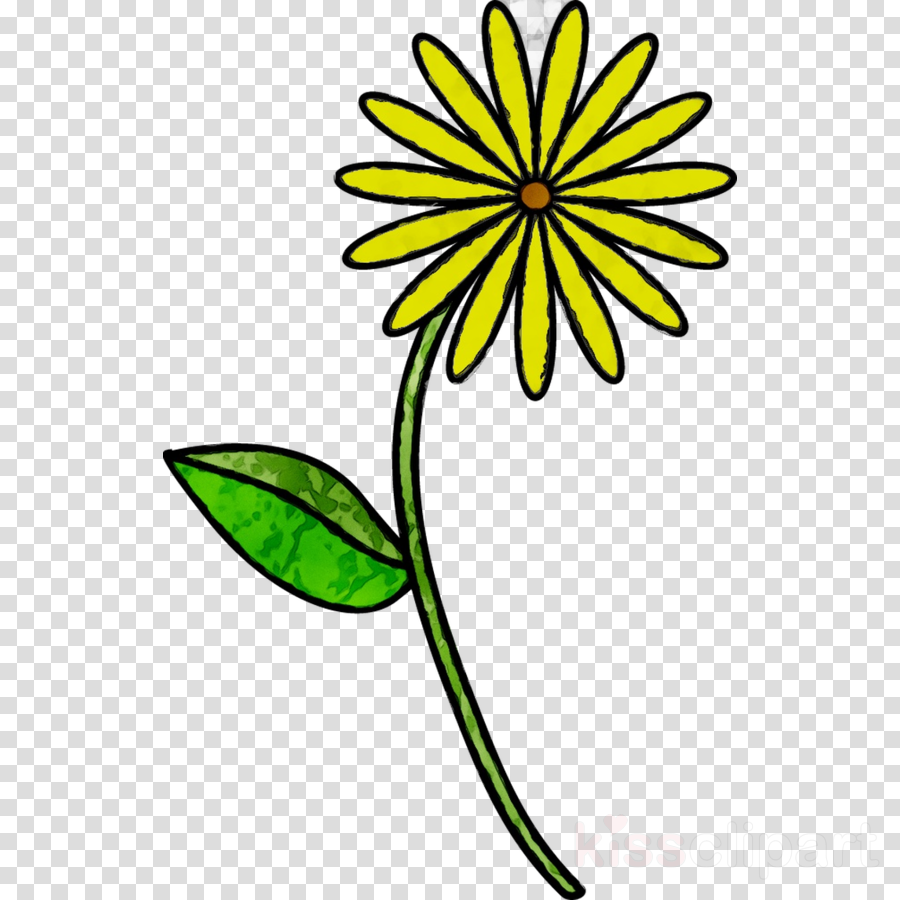 Flower Line Drawing | Free download on ClipArtMag