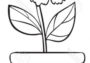 Flower Pot Drawing Images | Free download on ClipArtMag
