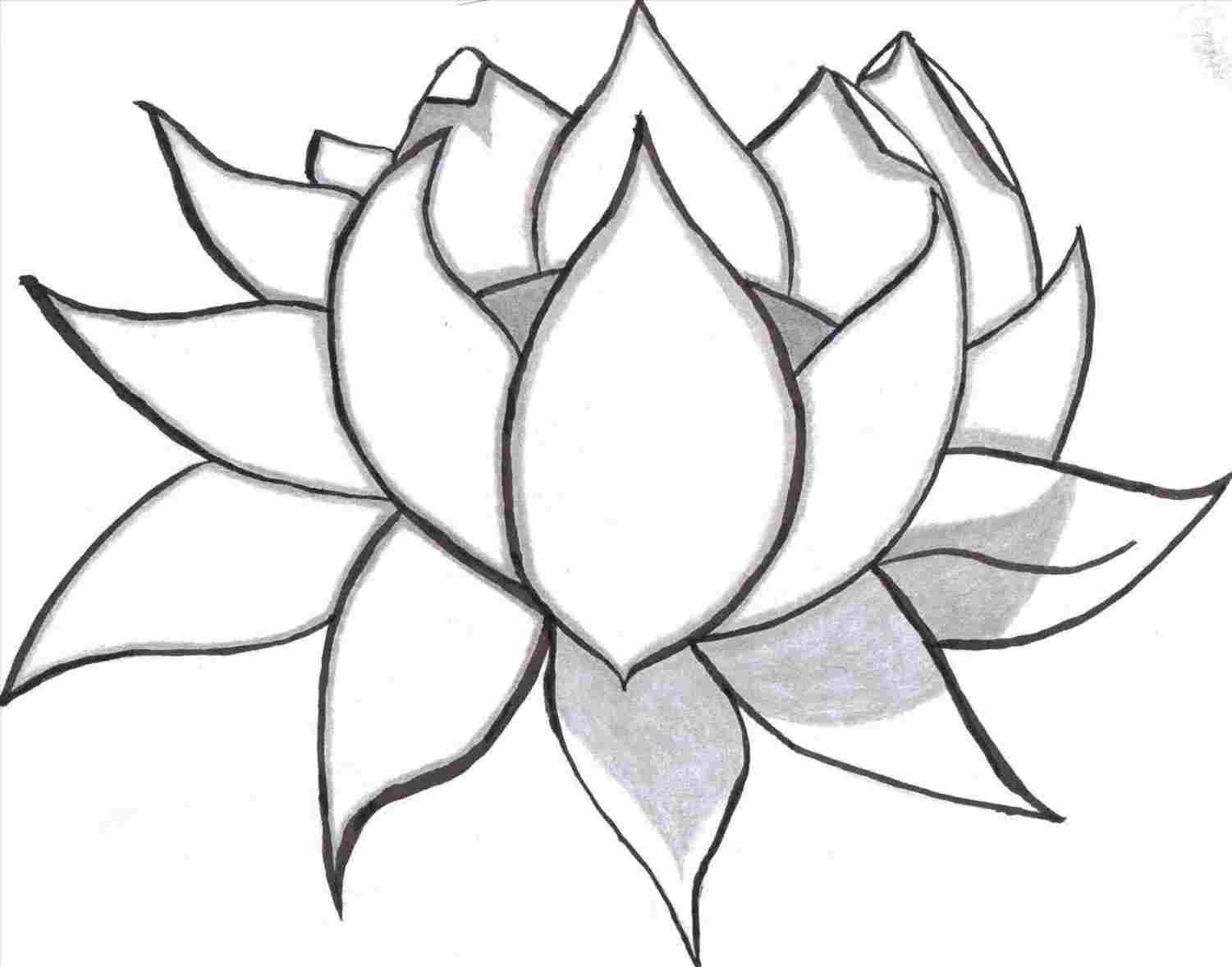 Flower Shading Drawing Free download on ClipArtMag